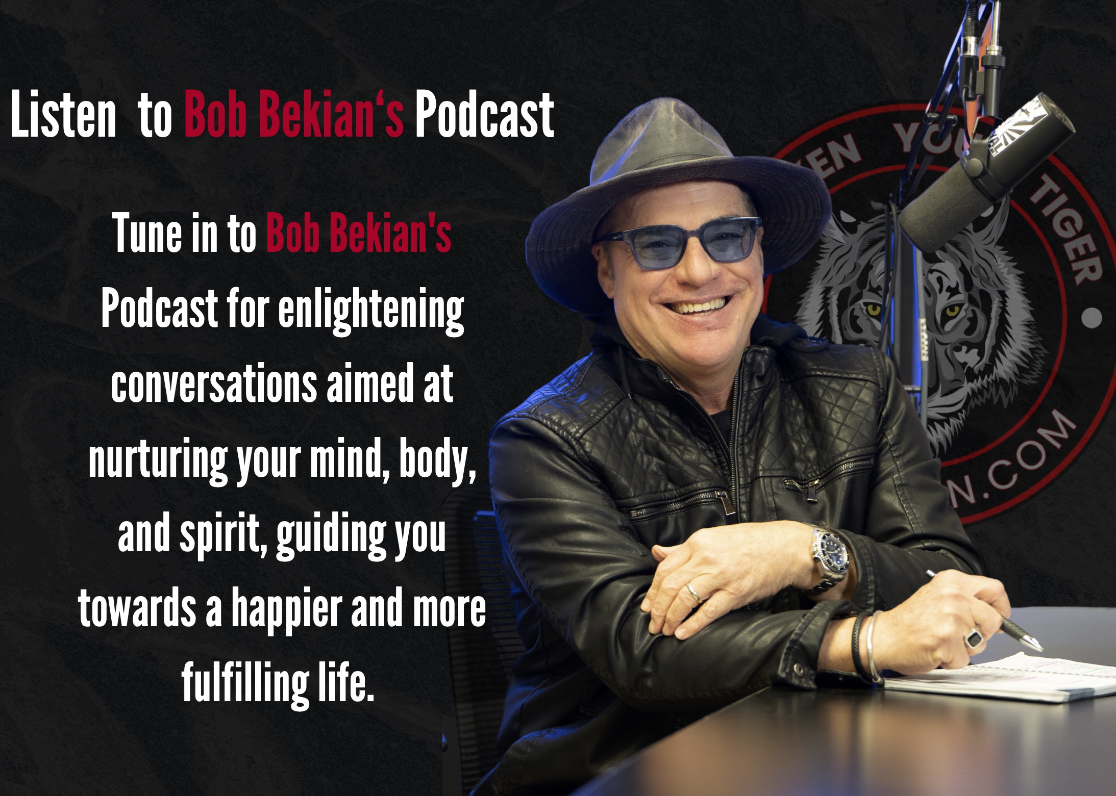 Infographic for Bob Bekian's Podcast